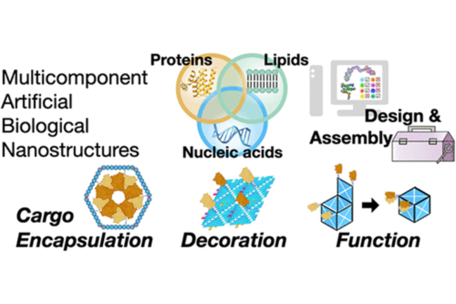 Durham Scientists Define the Toolkit for Building the Next Generation ...